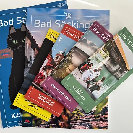 Apartment Muel 1og Am Dreilaendereck De,ch,fr Bad Sackingen