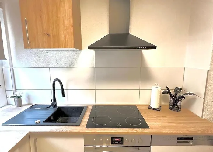 Muel 1og Am Dreilaendereck De,ch,fr Bad Sackingen